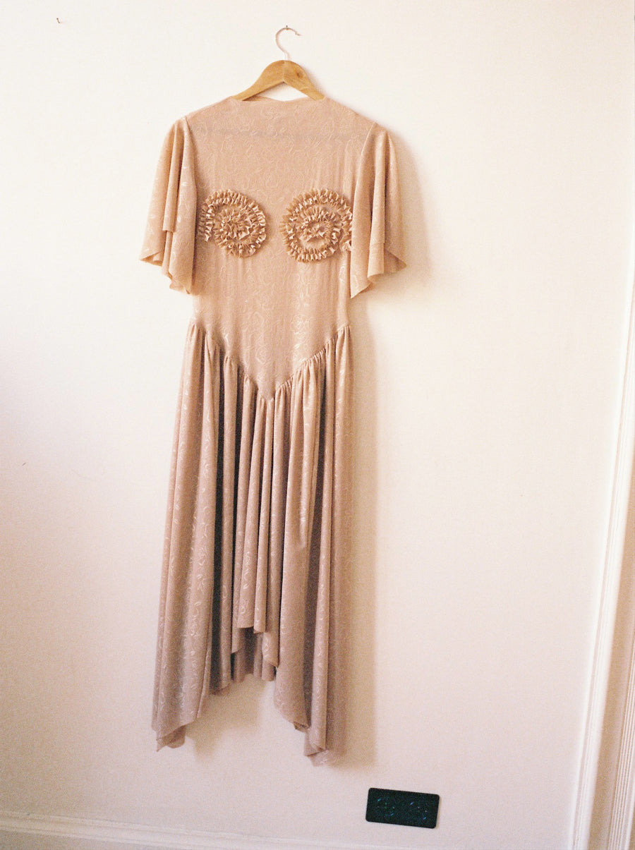 Ammonite Dress Rose