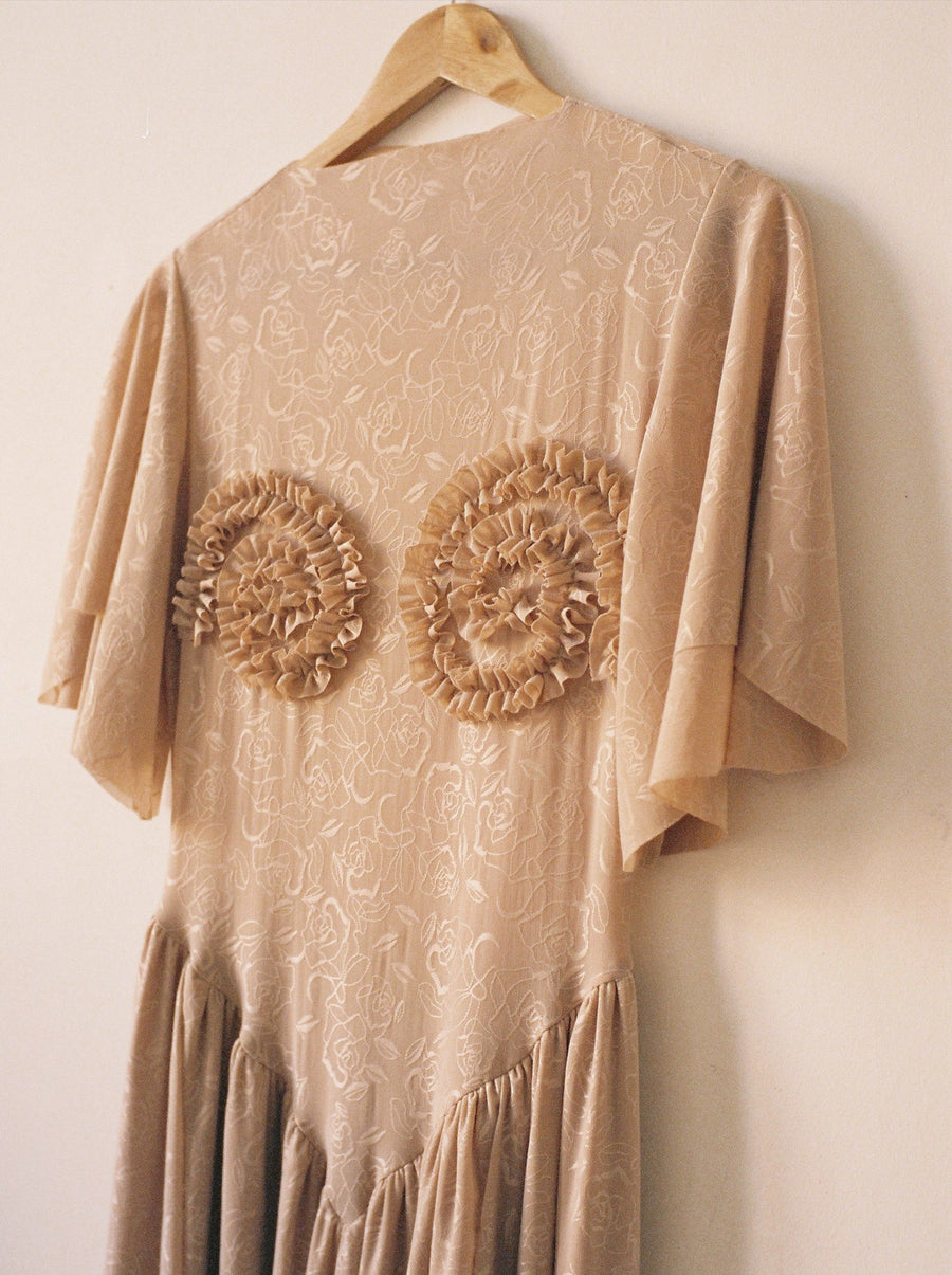 Ammonite Dress Rose